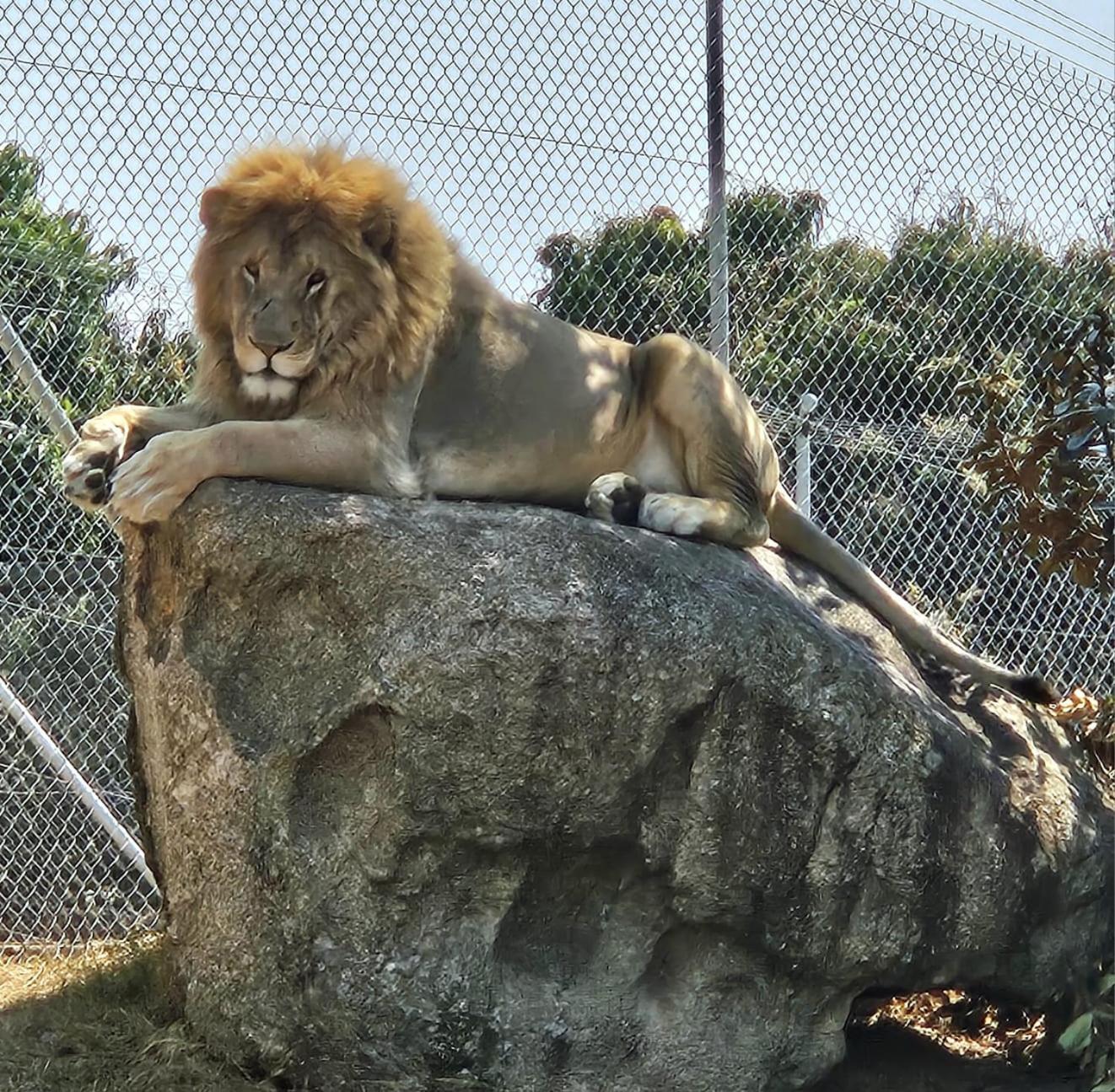 Pumbaa Wildlife Park & Accommodation Mbombela Exteriér fotografie